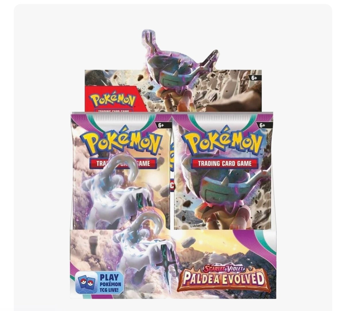 Paldea Evolved Booster Box